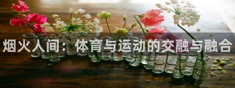 烟火人间：体育与运动的交融与融合