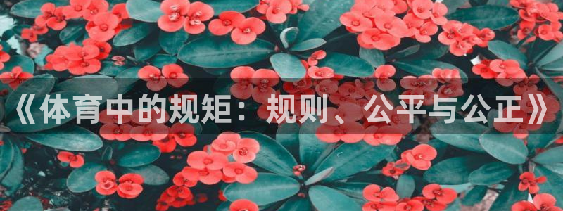 《体育中的规矩：规则、公平与公正》