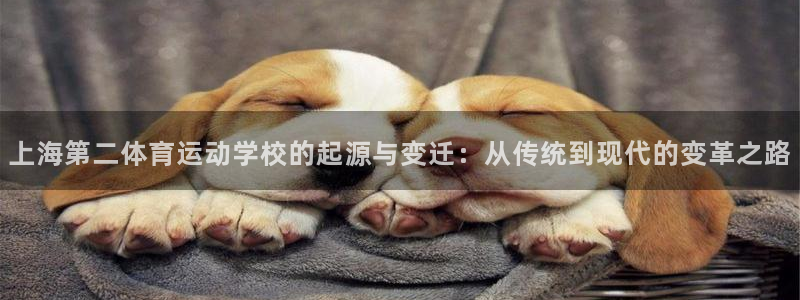 上海第二体育运动学校的起源与变迁：从传统到现代的变革之路