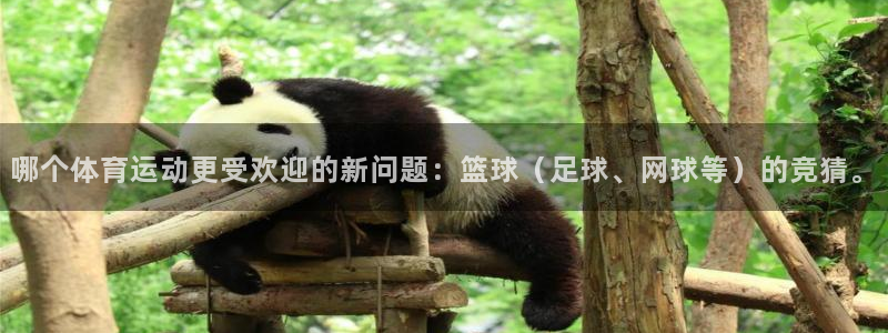 哪个体育运动更受欢迎的新问题：篮球（足球、网球等）的竞猜。