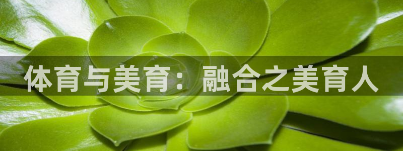 体育与美育：融合之美育人